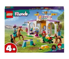 LEGO® Friends: Výcvik koní (41746)