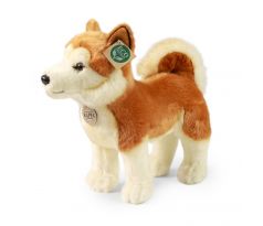 Plyšový pes akita inu, 30 cm Eco-Friendly